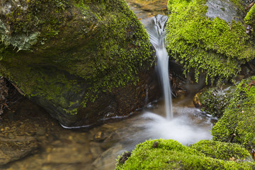 Detail shot of a small waterfall of the mountain creek Tro Maret in the Ardennes, Belgium.