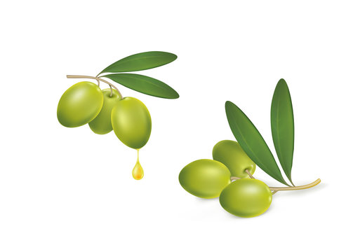 set of green olives on white background