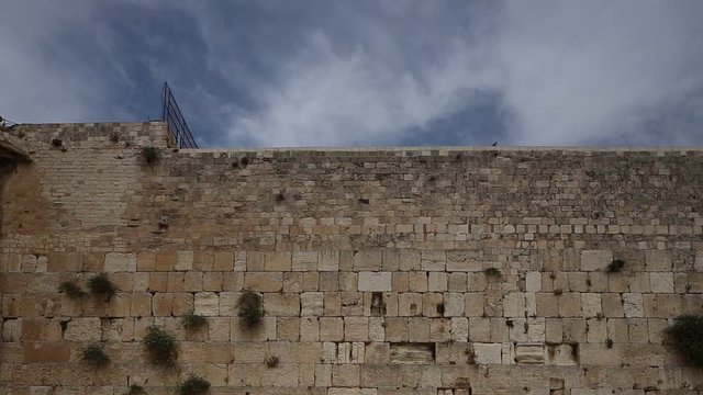 Birds flying near the Western wall in Jerusalem