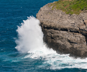Bird sanctuary at Kilauea Lighthouse