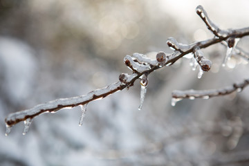 freezing nature.