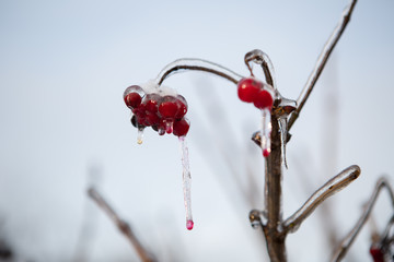 freezing nature.