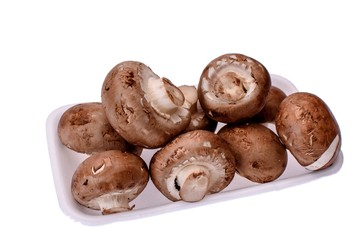 Mushrooms champignons lie on a white tray, isolated on a white background