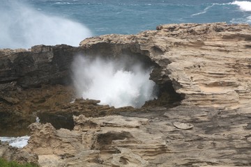 Stürmisches Rottnest III