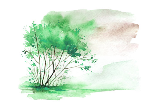 Watercolor vintage bush, a tree in Green color. Abstract spots, shore, sky, summer watercolor landscape.