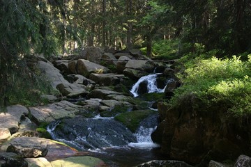 Harzer Wasserfall