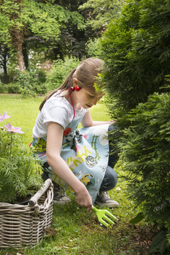 Girl gardening, working with small rake