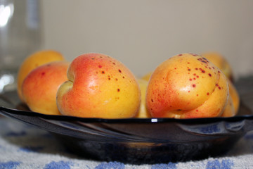 Plate with ripe juicy bright orange and red apricots