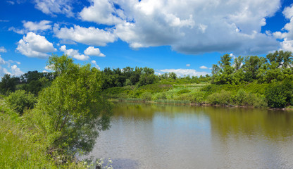 Fototapeta na wymiar Sunny summer landscape with river