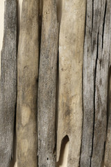 Gray and brown sea snag texture background. Driftwood. Marine items on driftwood