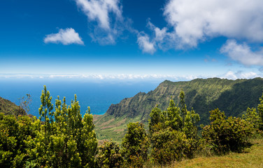 Fototapeta na wymiar Panoramic view of Kalalau valley Kauai