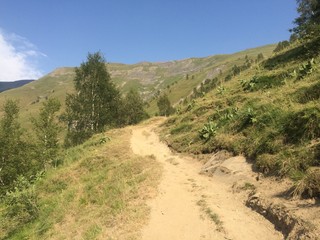 chemin, alpes