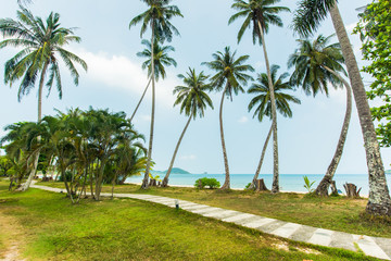 Obraz na płótnie Canvas Beautiful tropical beach for relaxation