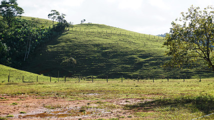 Fototapeta premium Hill in the pasture