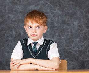 Portrait of serious happy little schoolchild on background of backboard in school