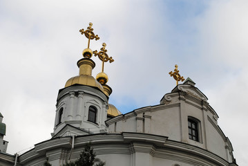 Fototapeta na wymiar Orthodox church and trees