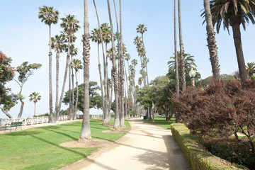 Palm tree lined seaside park