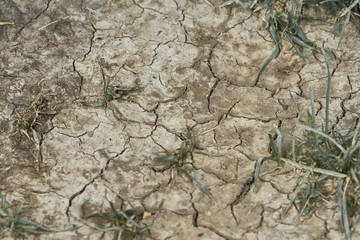 dry earth with cracks