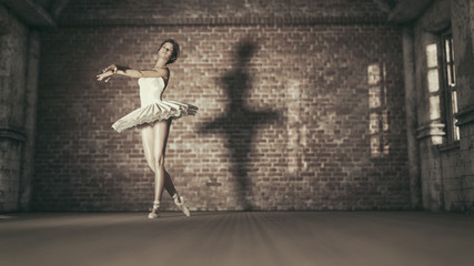 Obraz na płótnie Canvas Young and beautiful ballerina