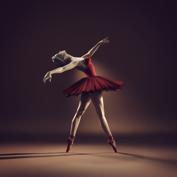 Fototapeta Young and beautiful ballerina