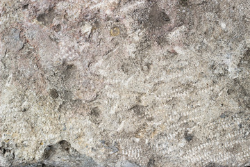 Gray cement texture of an old wall