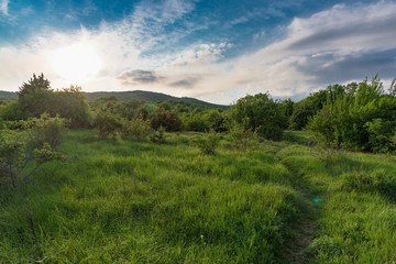 Trail in a field with summer sunset