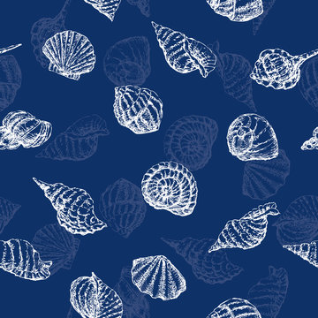 pattern of the different sea shells