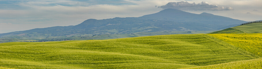 Fototapeta na wymiar Tuscany scenery, Italy