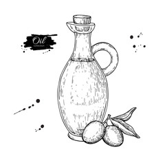 Bottle of olive oil and olive branch. Vector Hand drawn illustration. Glass pitcher vintage