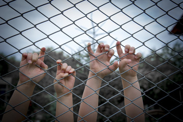 The hands of children on the fence