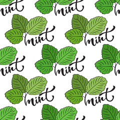 Seamless mint leaf pattern. Vector print for healthy product packaging design or surface texture.