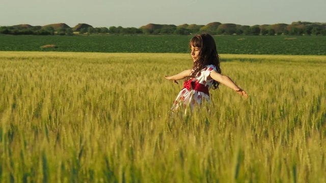 Child in a wheat field. A little girl is walking along the wheat field.
