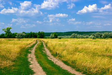 The road goes to dry grass in the rural mestnosti