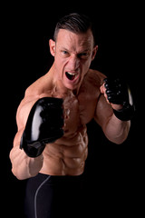 fighter posing with gloves isolated on a dark background