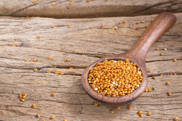 Red millet grains in bowl on wood