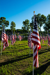 American flags in Honor Field,Danville,VA 