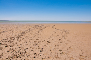 Footprints in the sand
