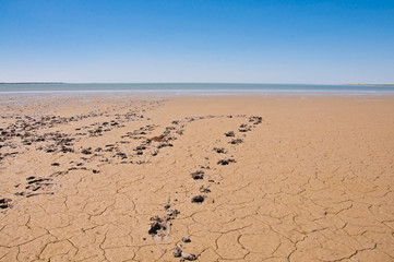 Footprints on a sandy beach