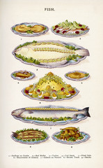 Beeton Fish. Date: 1907