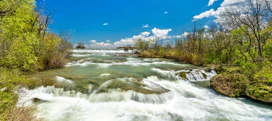 Foto auf Acrylglas The Niagara river seen from Goat Island - New York, USA © Leonid Andronov