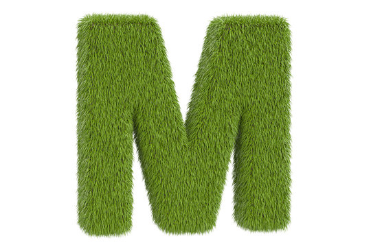Green letter M from grass, 3D rendering