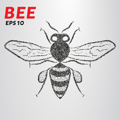Bee points. Vector drawing of a bee consists of circles.