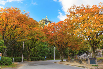 Beautiful of Osaka Castle in Osaka city with autumn leaves season in Japan