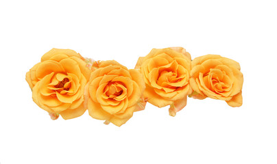 薔薇