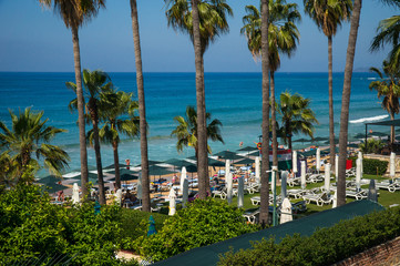 Fototapeta na wymiar Scenic view of the sea coast of the turquoise Mediterranean Sea. Green palm trees against a clear blue sky.