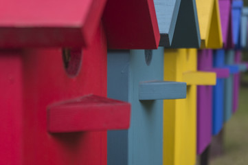 Many colorful houses for bird 3