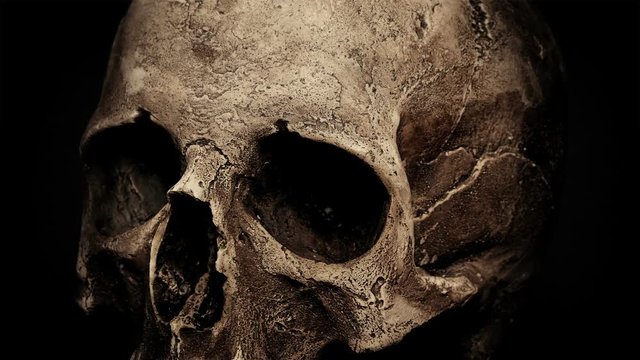 Ancient Human Skull Rotating Closeup Loop