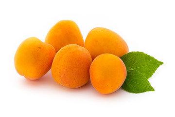 Apricots.