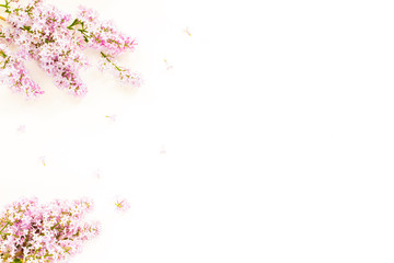 Flowers background. Lilac flowers on white background. Top view, flat lay, copy space