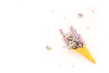 Lilac flower in ice cream cone on white background. Flat lay, top view